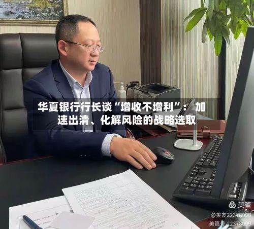华夏银行行长谈“增收不增利”： 加速出清、化解风险的战略选取-第2张图片