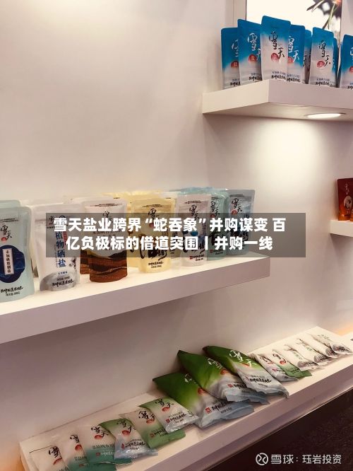 雪天盐业跨界“蛇吞象”并购谋变 百亿负极标的借道突围丨并购一线-第2张图片