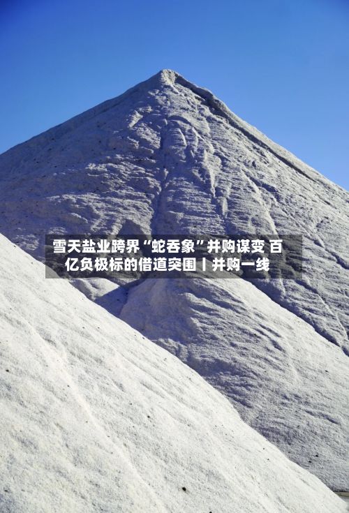 雪天盐业跨界“蛇吞象”并购谋变 百亿负极标的借道突围丨并购一线-第3张图片