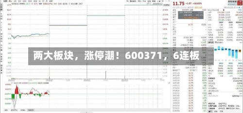 两大板块，涨停潮！600371，6连板