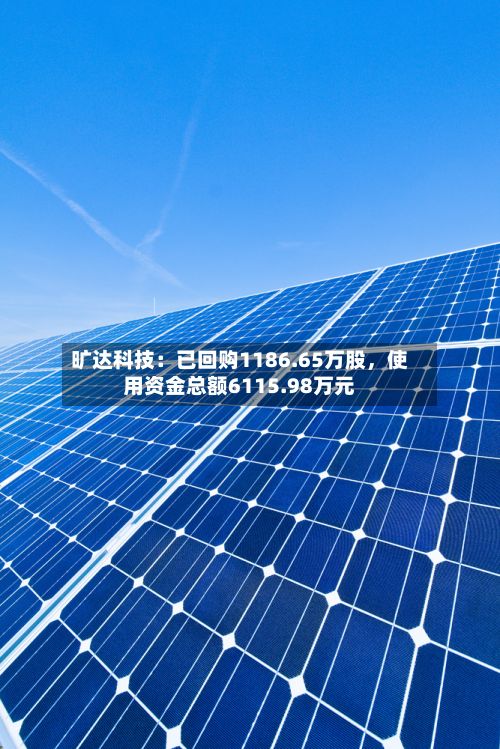 旷达科技：已回购1186.65万股，使用资金总额6115.98万元-第2张图片