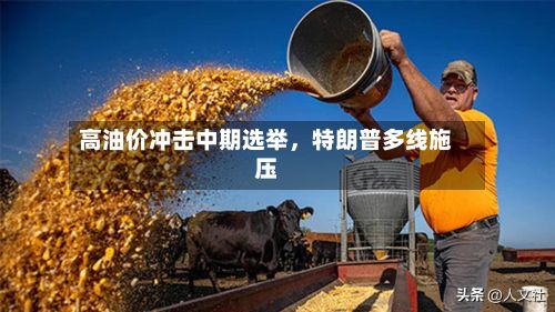 高油价冲击中期选举，特朗普多线施压-第2张图片
