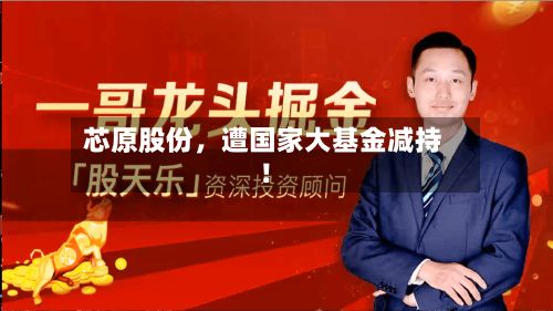 芯原股份，遭国家大基金减持！-第2张图片