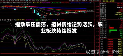指数承压震荡，题材情绪逆势活跃	，农业板块持续爆发-第3张图片