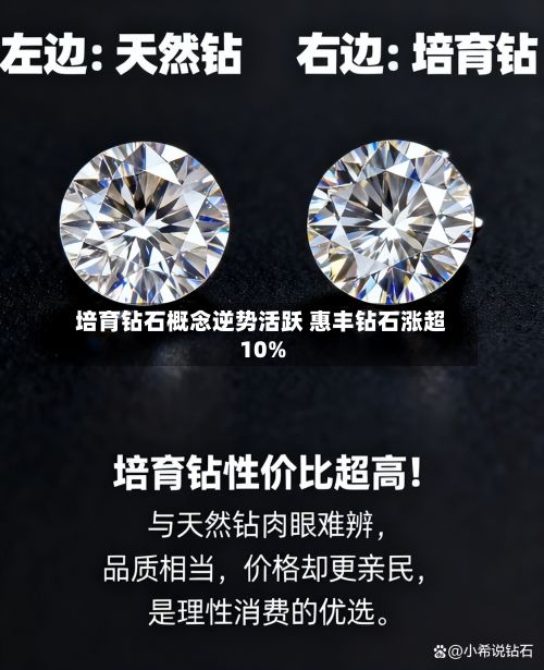 培育钻石概念逆势活跃 惠丰钻石涨超10%-第2张图片