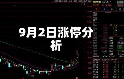 9月2日涨停分析