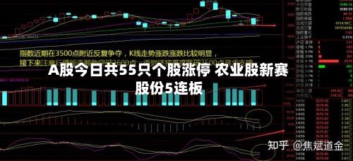 A股今日共55只个股涨停 农业股新赛股份5连板-第2张图片