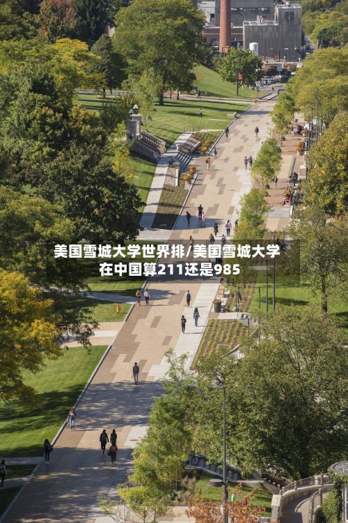 美国雪城大学世界排/美国雪城大学在中国算211还是985