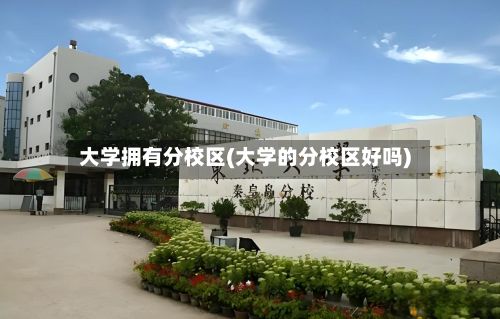 大学拥有分校区(大学的分校区好吗)-第2张图片