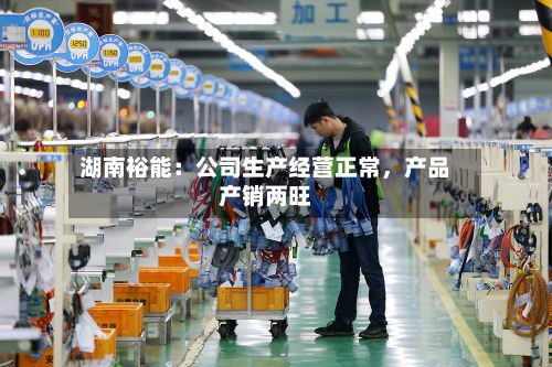 湖南裕能：公司生产经营正常	，产品产销两旺-第2张图片