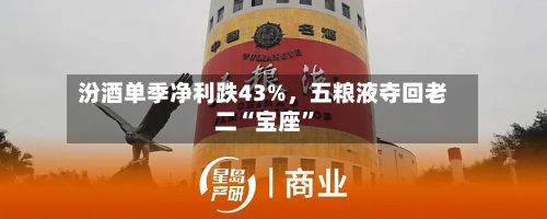 汾酒单季净利跌43%,五粮液夺回老二“宝座”