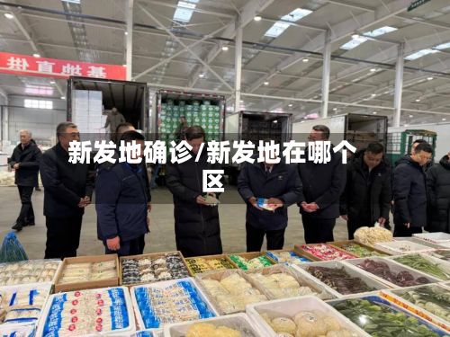 新发地确诊/新发地在哪个区-第3张图片