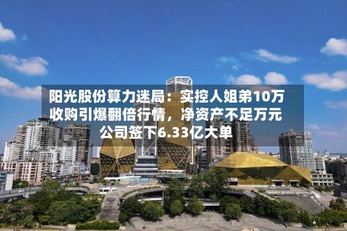 阳光股份算力迷局：实控人姐弟10万收购引爆翻倍行情，净资产不足万元公司签下6.33亿大单-第2张图片