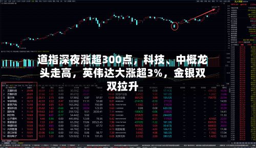 道指深夜涨超300点	，科技	、中概龙头走高，英伟达大涨超3%，金银双双拉升-第2张图片
