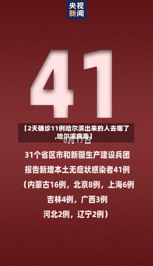 【2天确诊11例哈尔滨出来的人去哪了,哈尔滨病毒】-第3张图片