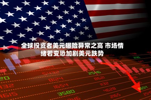全球投资者美元曝险异常之高 市场情绪若变恐加剧美元跌势-第2张图片