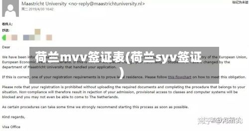 荷兰mvv签证表(荷兰syv签证)-第2张图片