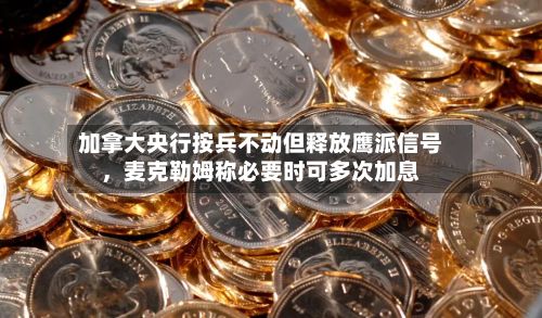 加拿大央行按兵不动但释放鹰派信号，麦克勒姆称必要时可多次加息-第3张图片