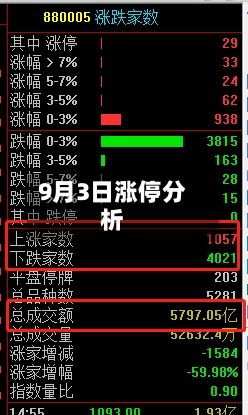 9月3日涨停分析