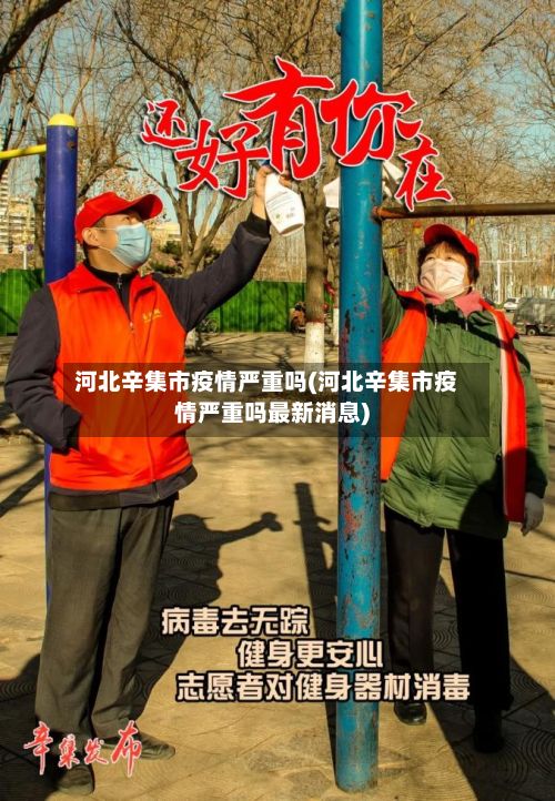 河北辛集市疫情严重吗(河北辛集市疫情严重吗最新消息)