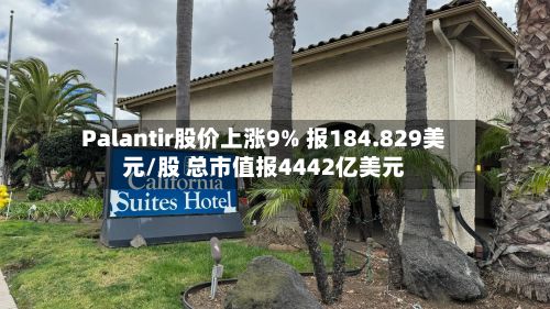 Palantir股价上涨9% 报184.829美元/股 总市值报4442亿美元-第2张图片