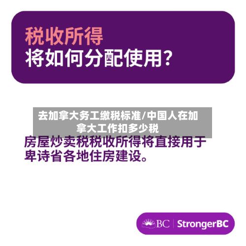 去加拿大务工缴税标准/中国人在加拿大工作扣多少税