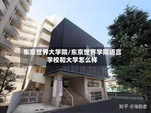 东京世界大学院/东京世界学院语言学校和大学怎么样