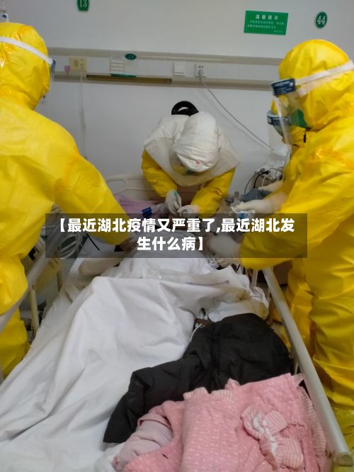 【最近湖北疫情又严重了,最近湖北发生什么病】-第2张图片