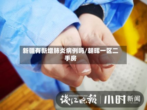 新疆有新增肺炎病例吗/朝晖一区二手房