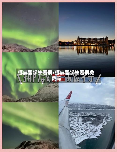挪威留学生看病/挪威留学生看病免费吗-第2张图片