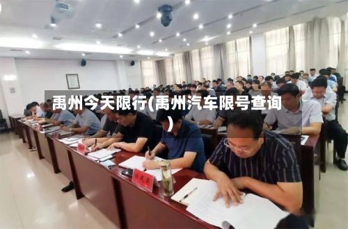禹州今天限行(禹州汽车限号查询)-第2张图片