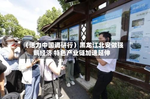 （活力中国调研行）黑龙江北安做强鹅经济 特色产业链加速延伸