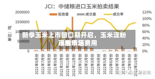 新季玉米上市窗口期开启，玉米淀粉现货市场费用不断承压-第1张图片