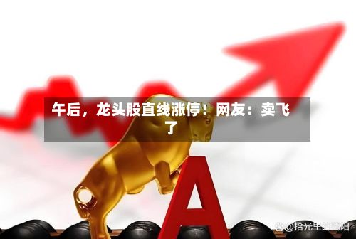 午后	，龙头股直线涨停！网友：卖飞了-第2张图片