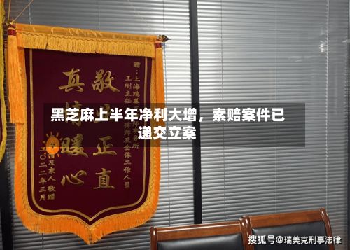 黑芝麻上半年净利大增，索赔案件已递交立案-第2张图片