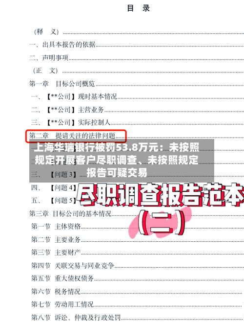 上海华瑞银行被罚53.8万元：未按照规定开展客户尽职调查、未按照规定报告可疑交易-第2张图片