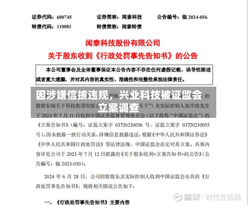 因涉嫌信披违规，兴业科技被证监会立案调查-第2张图片
