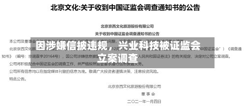 因涉嫌信披违规，兴业科技被证监会立案调查-第3张图片