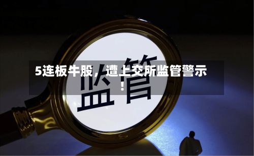 5连板牛股，遭上交所监管警示！-第2张图片