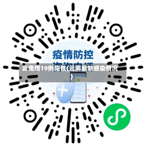 云南增19例阳性(云南最新感染情况)-第2张图片