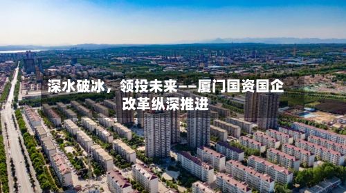 深水破冰，领投未来——厦门国资国企改革纵深推进-第2张图片