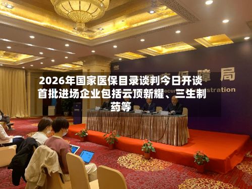 2026年国家医保目录谈判今日开谈 首批进场企业包括云顶新耀、三生制药等