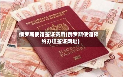 俄罗斯使馆签证费用(俄罗斯使馆预约办理签证网址)-第2张图片
