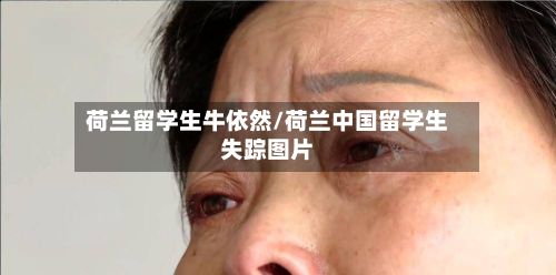 荷兰留学生牛依然/荷兰中国留学生失踪图片-第2张图片