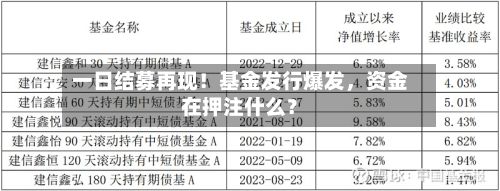 一日结募再现！基金发行爆发，资金在押注什么？-第2张图片