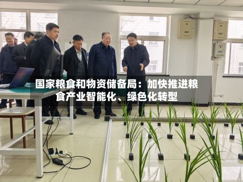国家粮食和物资储备局：加快推进粮食产业智能化	、绿色化转型-第2张图片