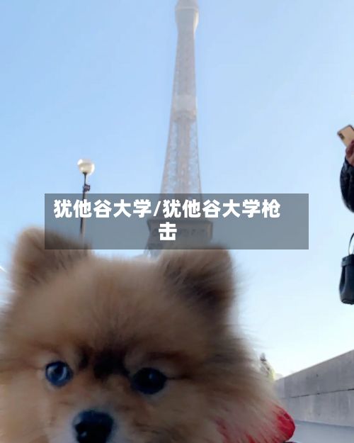 犹他谷大学/犹他谷大学枪击-第3张图片