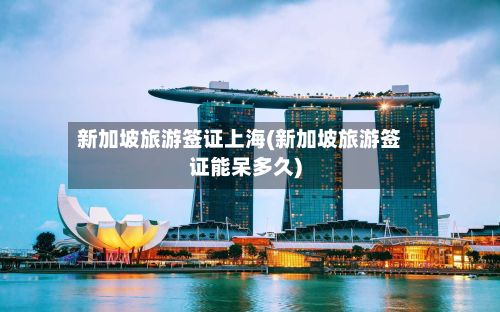 新加坡旅游签证上海(新加坡旅游签证能呆多久)-第2张图片