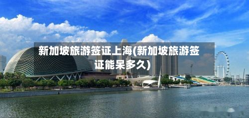 新加坡旅游签证上海(新加坡旅游签证能呆多久)