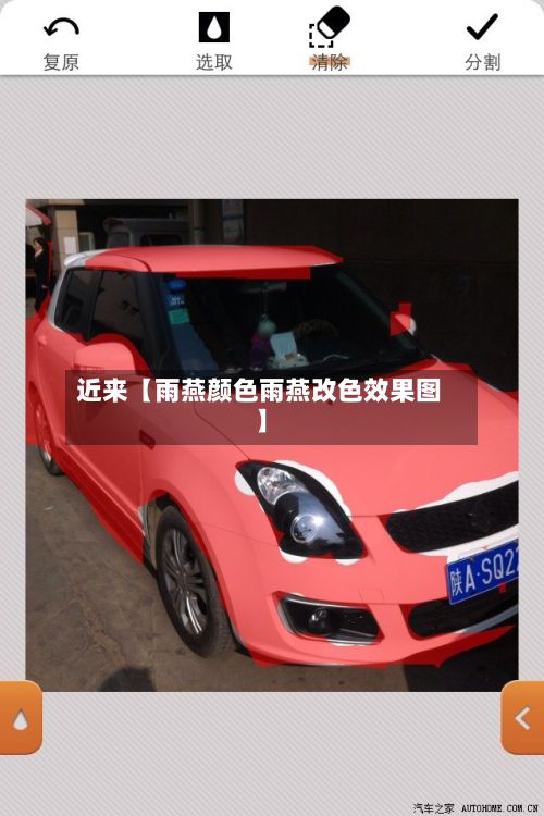 近来【雨燕颜色雨燕改色效果图】-第2张图片